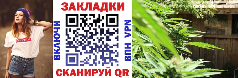 Виды наркотиков купить Шали COCAIN  Гашиш  МАРИХУАНА 