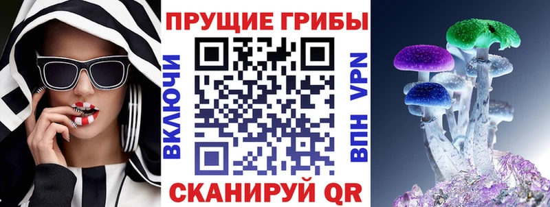 Галлюциногенные грибы Psilocybine cubensis  hydra рабочий сайт  Шали 