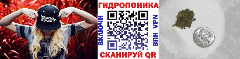 Каннабис Amnesia  где можно купить   Шали 